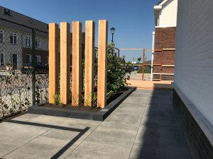 strak tuinontwerp